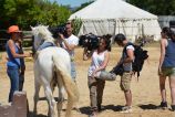 2016.07 Reportage TV D8 au LUCKY HORSE  (27).JPG