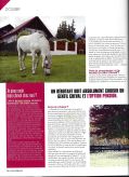 Art 2015.01 3 CAVALIERE DOSSIER p.3 Je reve d'avoir un cheval