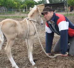 EQUIHOMOLOGIE équine au Lucky Horse