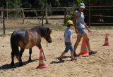2015.07.9 CHEVAL SENTE au Lucky Horse (22)Atelier equitherapie autour du lien.JPG