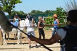 2016.07 Reportage TV D8 au LUCKY HORSE  (59).JPG