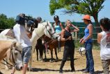 2016.07 Reportage TV D8 au LUCKY HORSE  (60).JPG