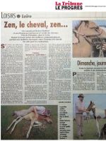 ART 2002.06.20 LA TRIBUNE LE PROGRES derniere page, Daniel Silvestre, Zen, le cheval, Zen