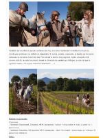 ART 2014.05.19 Pce MAG.FR Decouvrir le vignoble a cheval 1 p.3