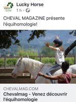 ART 2019.09.11 FB Cheval Magazin