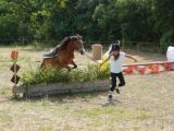 Attila du Ventoux 3eme poney Elite de France 2013, Lucky Horse (2)