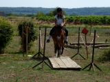 Attila du Ventoux 3eme poney Elite de France 2013, Lucky Horse (3)