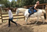 COURS EQUIHOMOLOGIE Lucky Horse Mazan (12).JPG