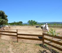 LUCKY HORSE ISOFACULTE Installations 2019 (27)RED