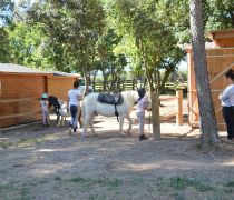 LUCKY HORSE ISOFACULTE installations 2019 (22) RED