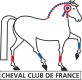 Logo cheval Club de France