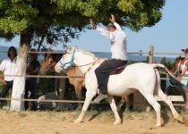 Lucky horse fin d'annee 2011 (28).JPG