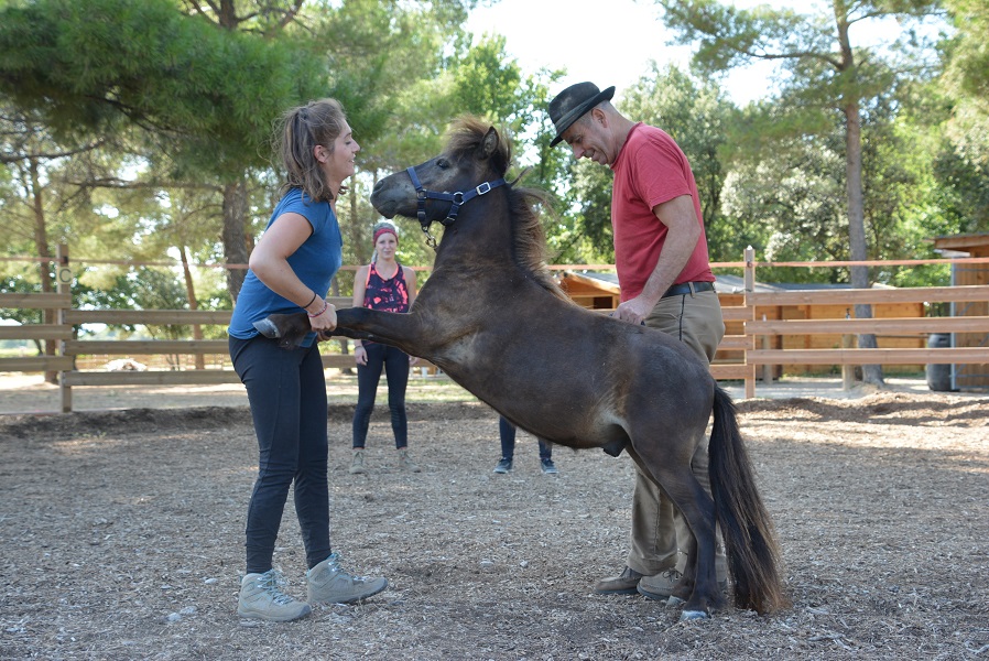 2019 Education poulain LUCKY HORSE IDEFIX (25).JPG